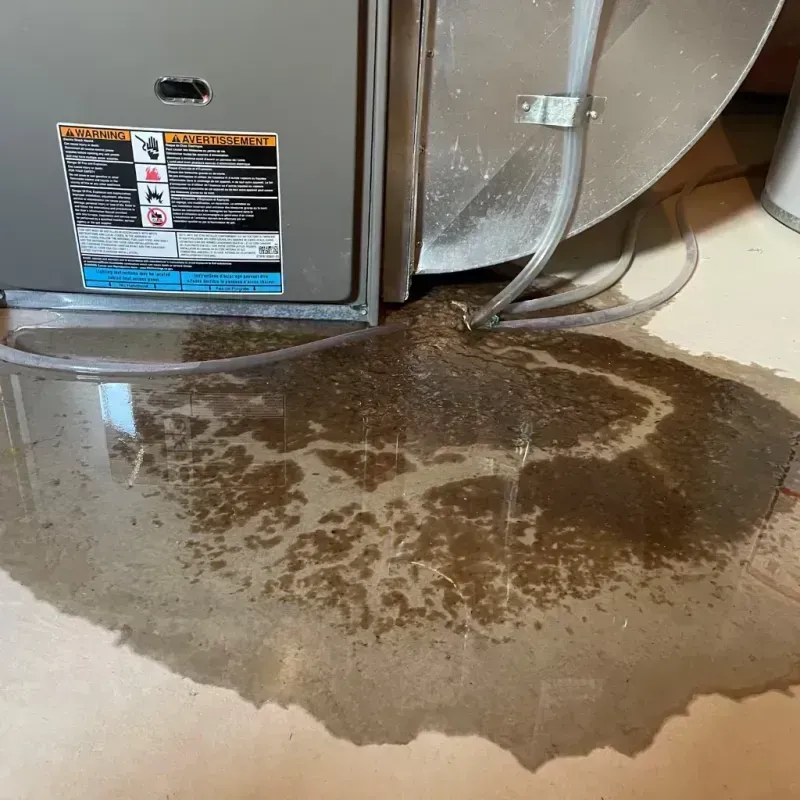 Appliance Leak Cleanup in Asherton, TX